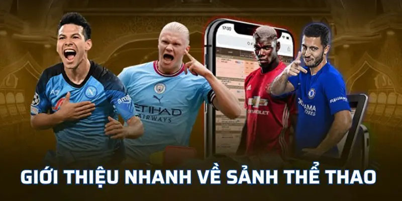 Giới thiệu tổng quan về sảnh cược thể thao rr88